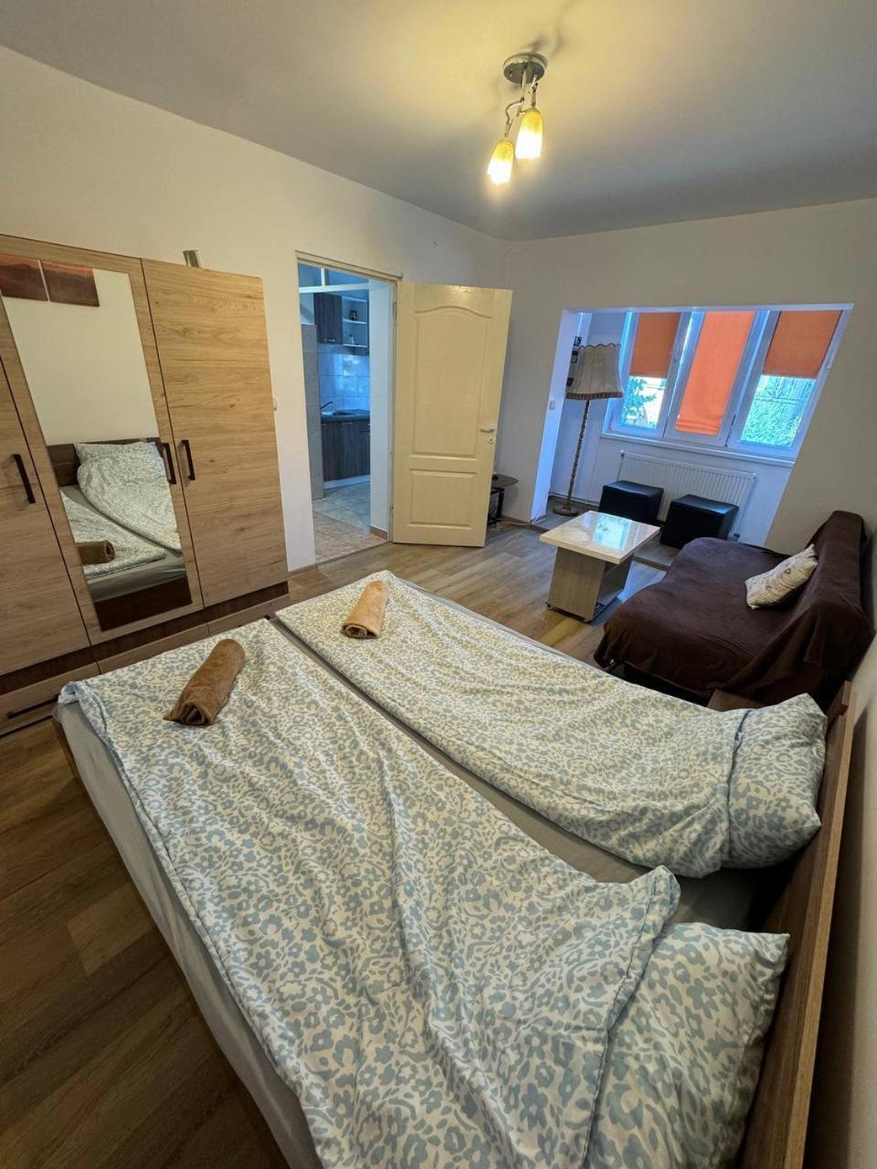 Affordable Apartment Close To The Castle Hunedoara Extérieur photo