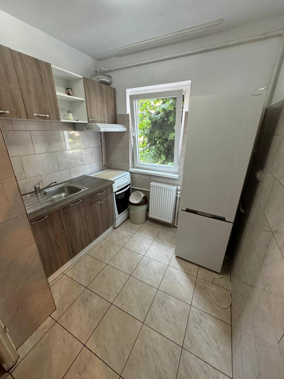 Affordable Apartment Close To The Castle Hunedoara Extérieur photo