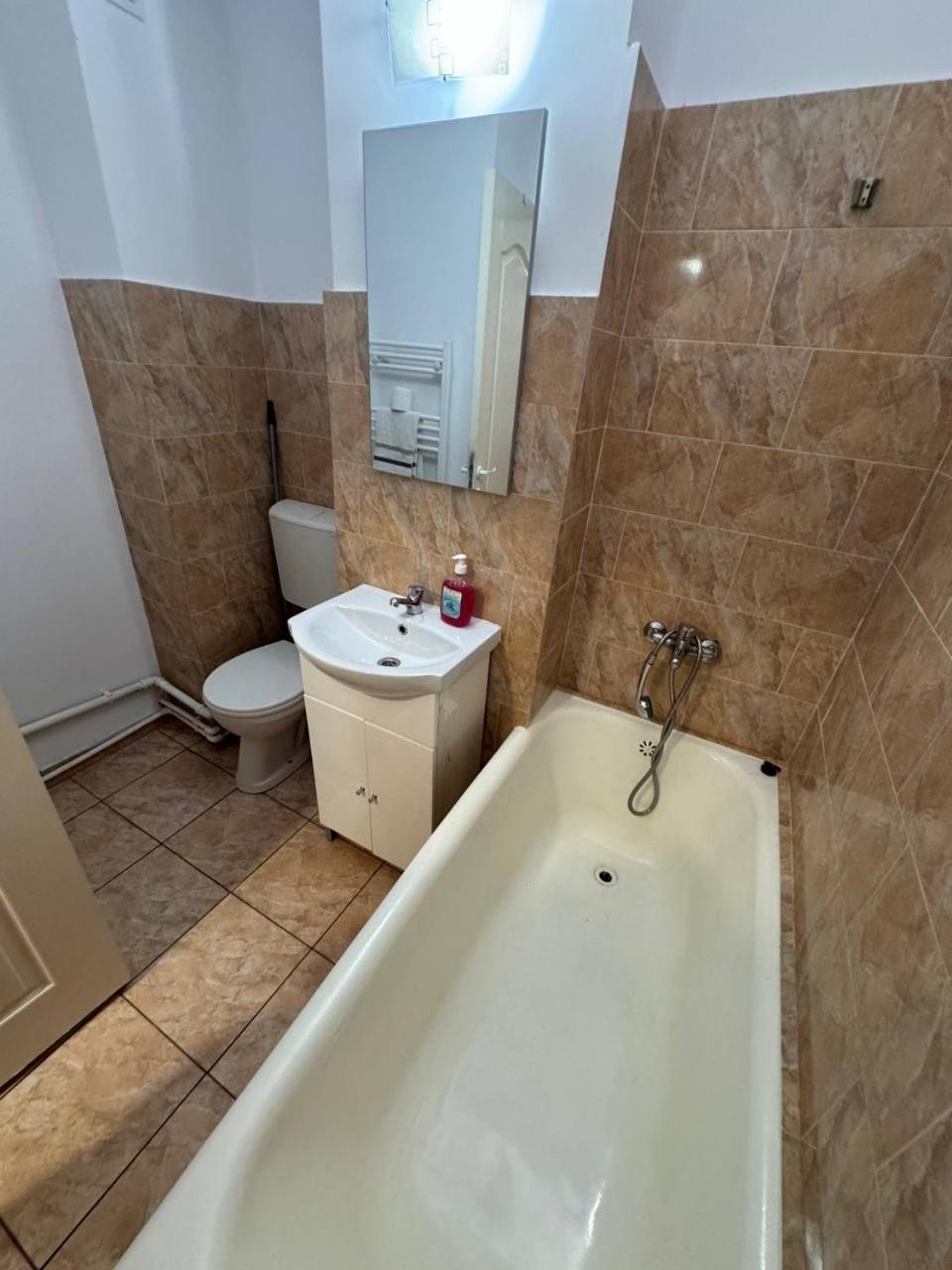 Affordable Apartment Close To The Castle Hunedoara Extérieur photo