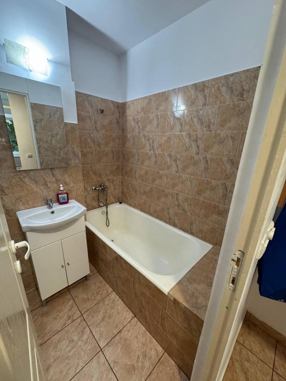 Affordable Apartment Close To The Castle Hunedoara Extérieur photo